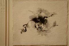 Obra de Roxana Borzi, en Papel Muro