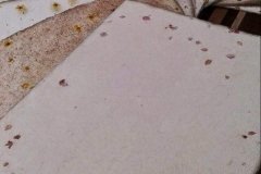 Papeles con inclusion de flores